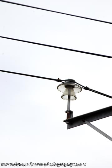 Images of Hawke's Bay - powerline insulator in Hastings photograph