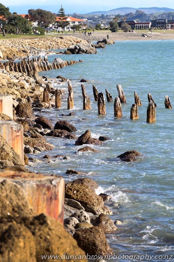 Water-worn piles, remains of the sea defence wall built by the former Hawke's Bay Provincial Council, Hardinge Rd, Napier photograph