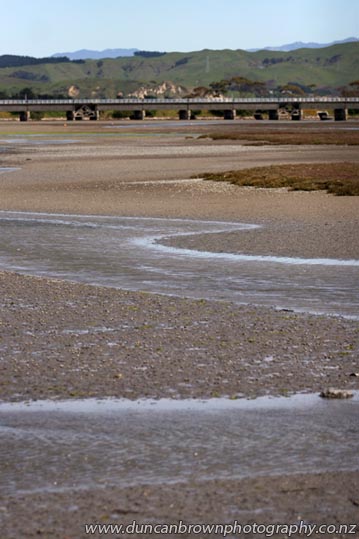 Low tide in the Ahuriri Estuary (and the Embankment Bridge), Napier photograph