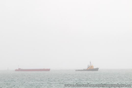 Pacific Way, a tugboat built in 1960, still pulling dump barges in the Hawke Bay fog photograph