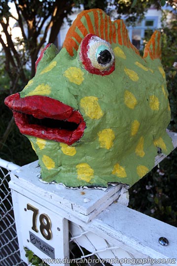 You see so much when you walk places - Fish letterbox in Napier photograph
