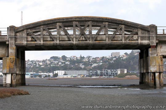 The old Embankment Bridge over Ahuriri Estuary photograph