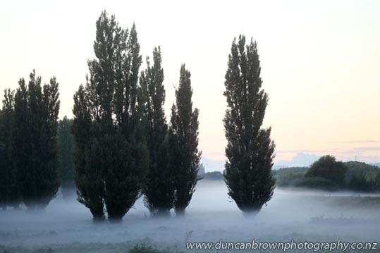 Misty morning photograph